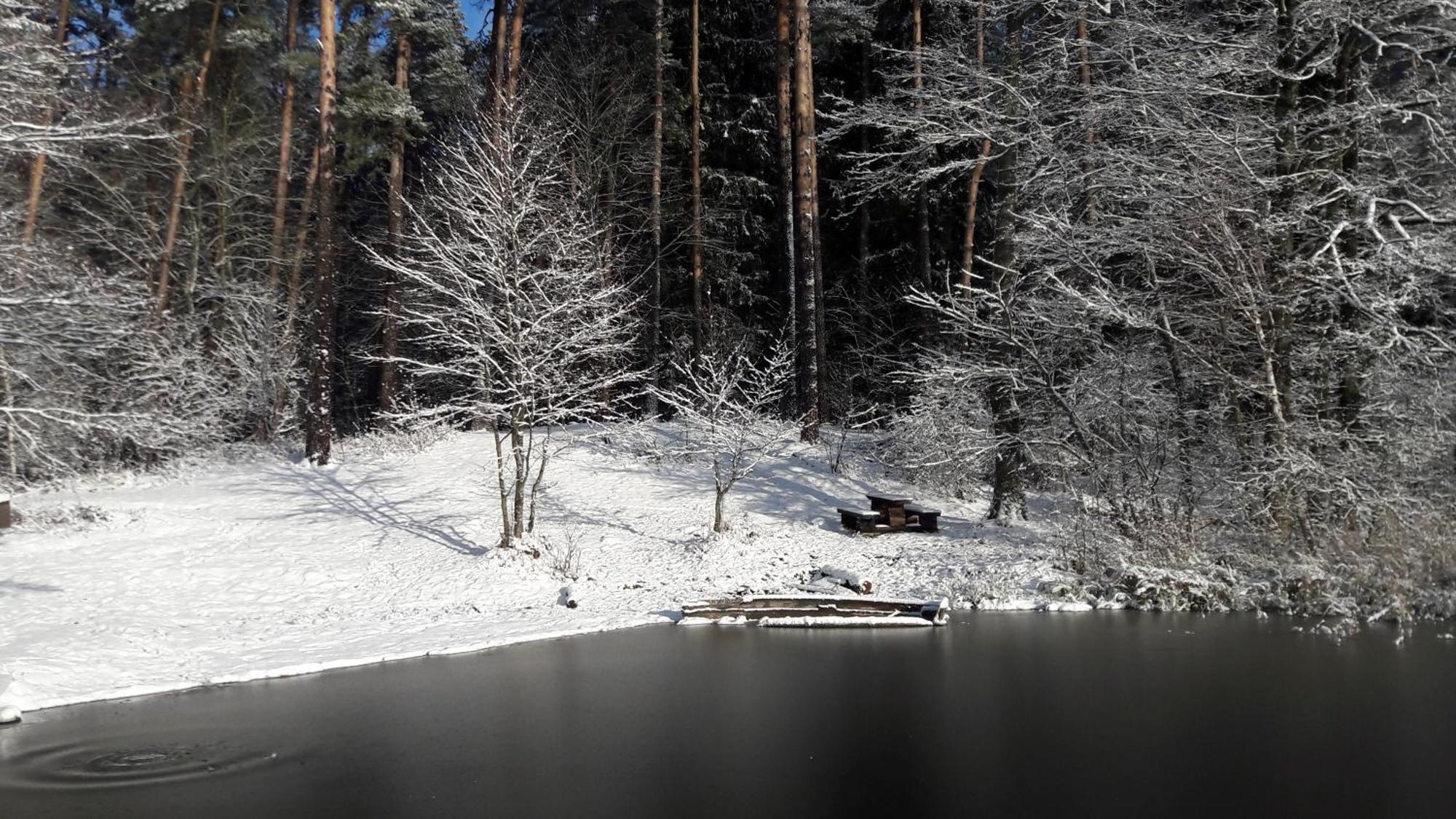 Apartamenty Jezioro I Las Mazury Powalczyn Εξωτερικό φωτογραφία